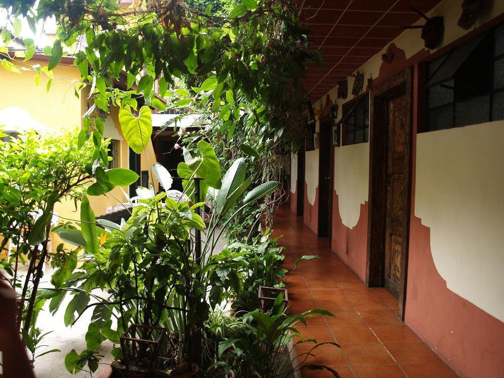 Hotel La Casa De Don Ismael Antigua Dış mekan fotoğraf
